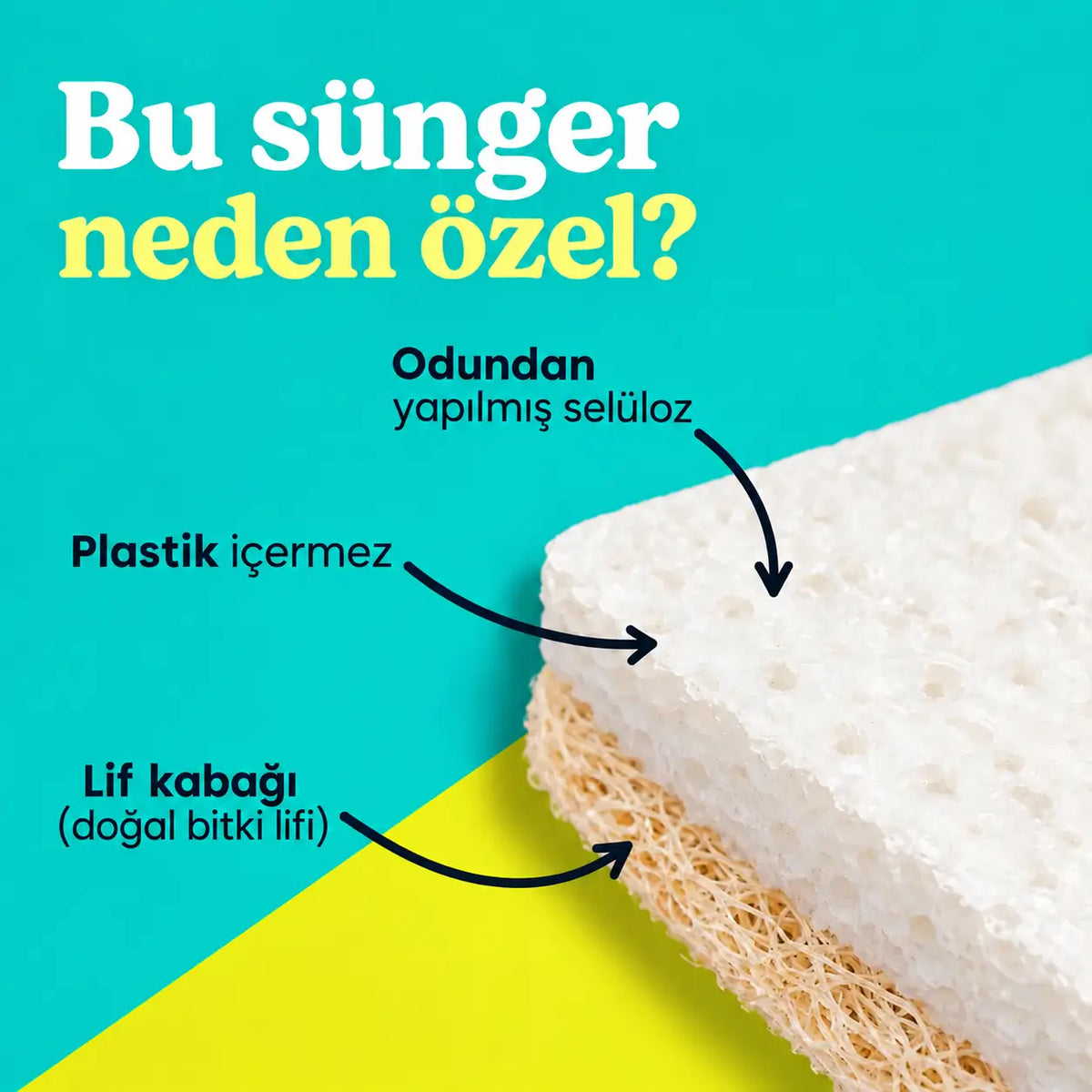 Doğal Bulaşık Süngeri